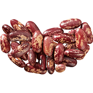 Kidney beans PNG-56897